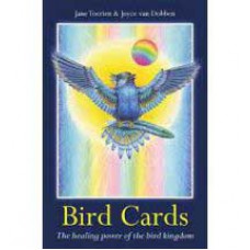 Bird Cards by Toerien & Dobben