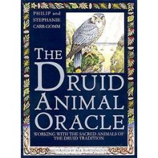 Druid Animal Oracle deck by Carr-Gomm & Carr-Gomm