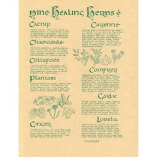 9 Herbs poster