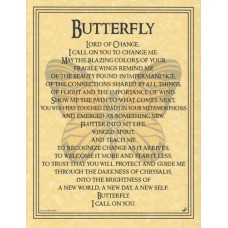 Butterfly Prayer poster