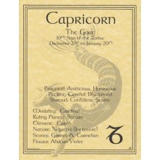 Capricorn zodiac poster