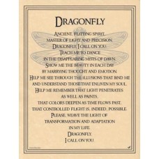 Dragonfly poster