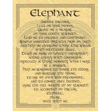 Elephant Prayer poster