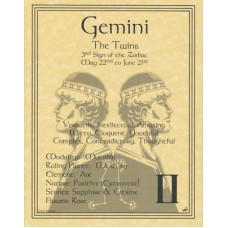Gemini zodiac poster