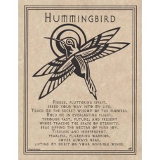 Hummingbird Prayer poster