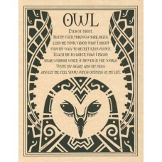 Owl poster