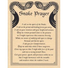 Snake Prayer poster