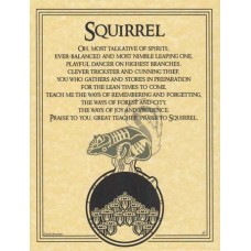 Squirrel Prayer poster