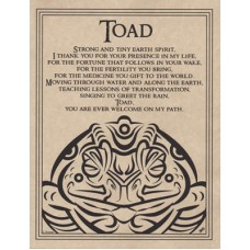 Toad Blessing poster