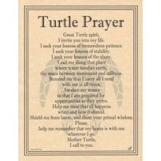 Turtle Prayer poster