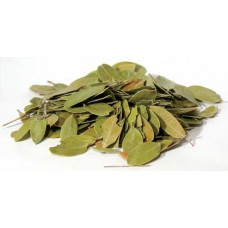 Bearberry mexican whole 1oz (Uva Ursi)