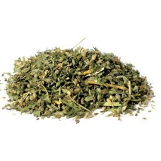 Catnip cut 1oz  (Nepeta cataria)