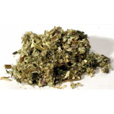 Mugwort cut 1oz (Artemisia Vulgaris)