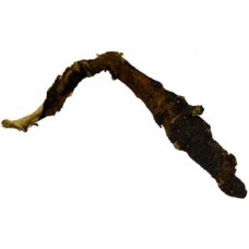Osha Root (Ligusticum porteri) whole 1oz