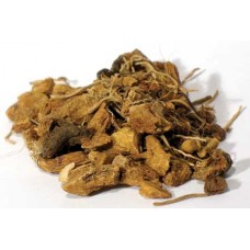 Solomons Seal Root cut 1oz (Polygonatum species)