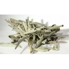 White Sage 1oz (Salvia Apiana)