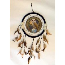 Owl dream catcher