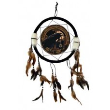 Raven dream catcher