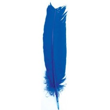 Blue Feather 12