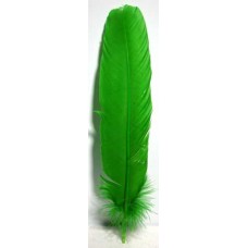 Green Feather 12