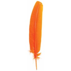 Orange Feather