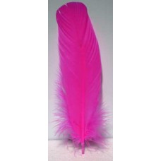 Pink feather 12