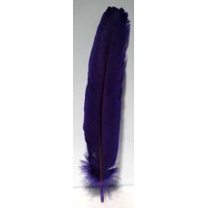 Purple feather 12