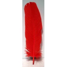 Red feather 12