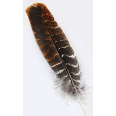 Turkey Wing Feather Short