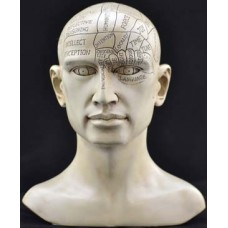 Phrenology Head