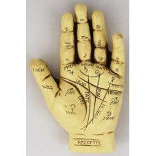 Palmistry Hand