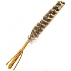 Leather Wrapped smudging feather 10