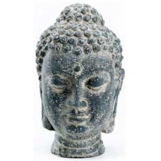 Buddha Head 11 1/4